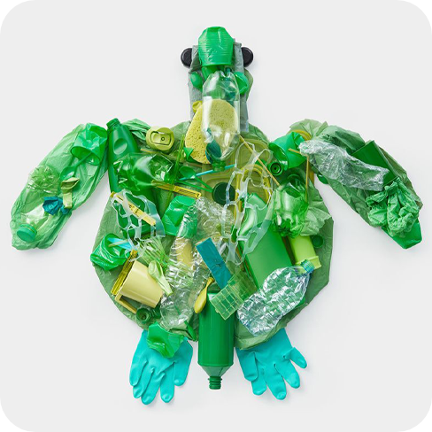 プラスチックゴミで作られた亀の画像